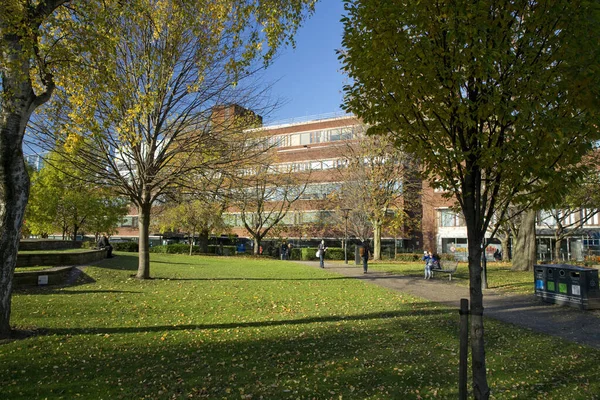 Manchester Grand Manchester Royaume Uni Octobre 2013 Une Vue Bibliothèque — Photo