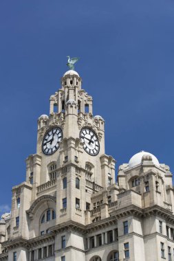 Liverpool, İngiltere, 24 Haziran 2014, Royal Liver Binası yine gündüz vakti mavi gökyüzü