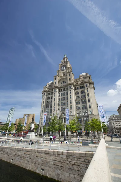 Liverpool Wielka Brytania Czerwca 2014 Royal Liver Building Ponownie Błękitne — Zdjęcie stockowe
