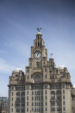 Liverpool, Haziran 2014, Royal Liver Binası