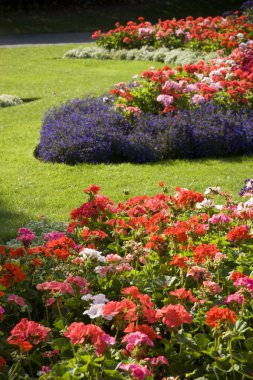 Lincoln 'ün doğu ucundaki botanik bahçesinin görüntüsü, Lincoln, İngiltere - Ağustos 2009