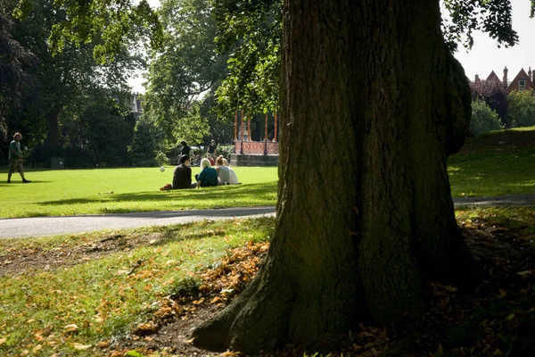 Vista Arboreto Extremo Leste Lincoln Lincolnshire Reino Unido Agosto 2009 — Fotografia de Stock