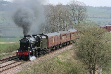 8F Buharlı Lokomotif No. Gargrave 'de 48151 - 23 Nisan 2010 Whitby-Carnforth Charter Train - Gargrave, İngiltere