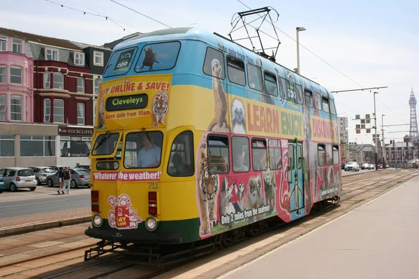 Blackpool Tramvayı 711 Blackpool Lancashire Ngiltere Yaz 2010 — Stok fotoğraf