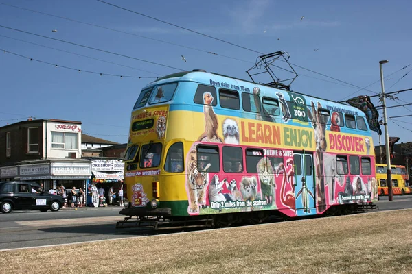 Blackpool Tramvayı 711 Blackpool Lancashire Ngiltere Yaz 2010 — Stok fotoğraf