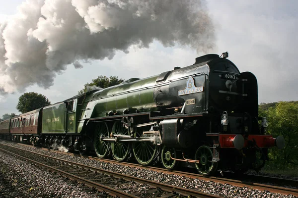 Parní Lokomotiva Tornádo Worcesterem Carlisle Railtour Langliffe Yorkshire Velká Británie — Stock fotografie