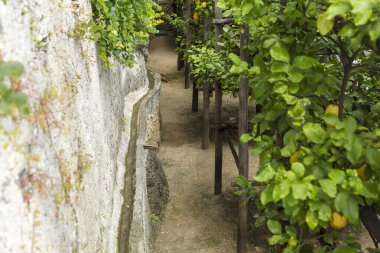 Limon, Garda Gölü, İtalya, Avrupa, Ağustos 2019, Limonaia del Castel