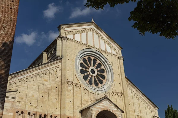 Verona Italien Europa Augusti 2019 Utsikt Över Basilica San Zeno — Stockfoto