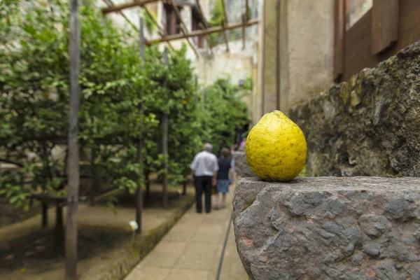 Limone Gardasee Italien Europa August 2019 Limonaia Del Castel — Stockfoto