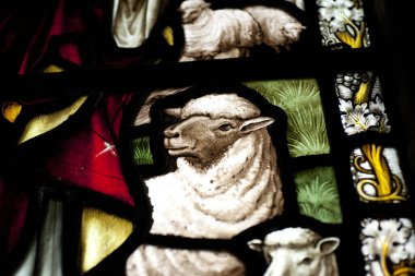 Crowland Abbey, Crowland 'daki vitray camlı bir kuzunun ayrıntıları - 27 Nisan 2013