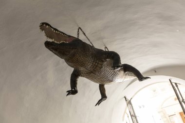 Brno 'daki eski belediye binasında Brno ejderhası, Çek Cumhuriyeti, Avrupa - 22 Şubat 2018