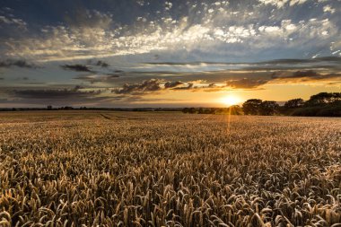 Near Caistor, Lincolnshire, UK, July 2017, View of Lincolnshire Wolds and a sunset clipart