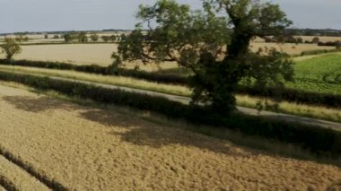 Hughnshire, İngiltere, Ağustos 2019, Spor Bisikleti Bisikletçisi