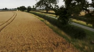 Hughnshire, İngiltere, Ağustos 2019, Spor Bisikleti Bisikletçisi