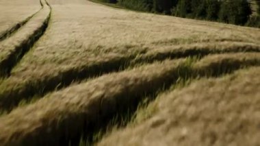 Hughnshire, İngiltere, Temmuz 2019, Lincoln Wolds 'un İnsansız Hava Aracı