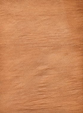 Zengin, kahverengi, çok detaylı bir ağaç kabuğu dokusu.