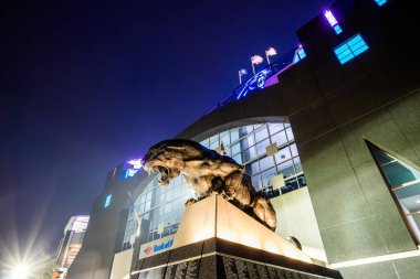 Panthers Nfl stadyumunda şehir merkezinde Charlotte 