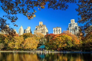 Sonbaharda Central Park