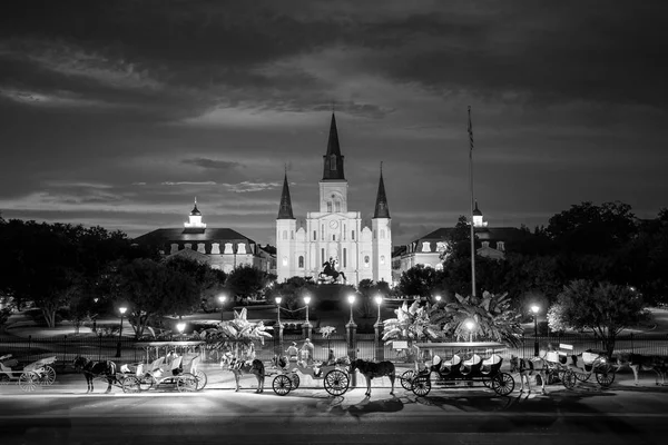 Saint Louis Katedrali ve Jackson Square New Orleans, Louisia — Stok fotoğraf