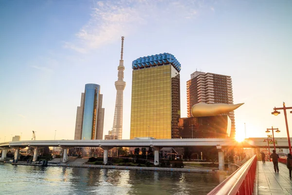 Ορίζοντα του Τόκιο στις όχθες του ποταμού Sumida — Φωτογραφία Αρχείου