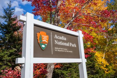 Güzel sonbahar renkleri Maine ABD Acadia Milli Parkı