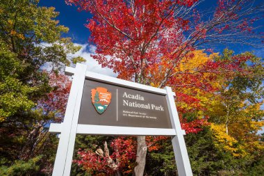 Güzel sonbahar renkleri Maine ABD Acadia Milli Parkı