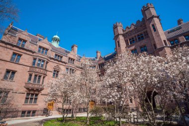 Tarihi bina şehir merkezinde New Haven