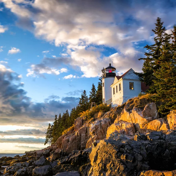 Bass Harbor Fyren Vid Solnedgången Acadia National Park Maine Usa — Stockfoto