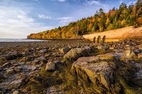 Kolory Jesieni Piękny Park Narodowy Acadia Maine Stany Zjednoczone Ameryki — Zdjęcie stockowe