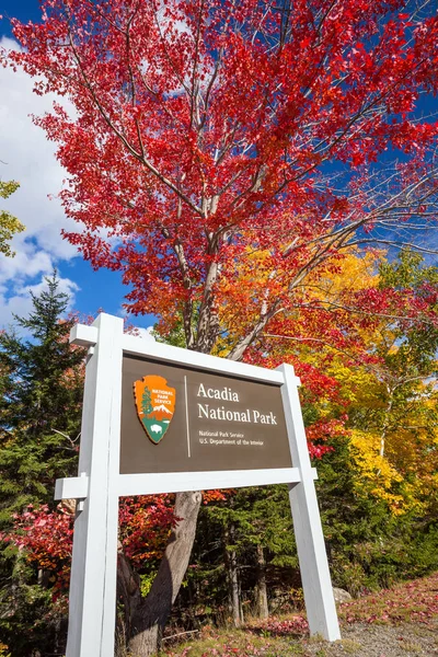 Hermosos Colores Otoño Del Parque Nacional Acadia Maine —  Fotos de Stock