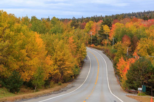 Lindas Cores Outono Parque Nacional Acadia Maine Brasil — Fotografia de Stock