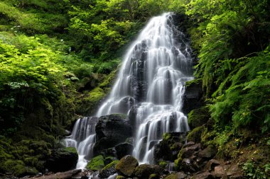 Portland Oregon yakınlarındaki Columbia Nehri Boğazı 'ndaki şelaleler.