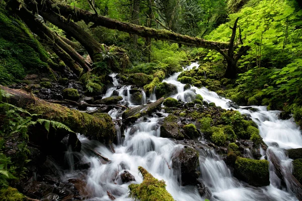 Portland Oregon yakınlarındaki Columbia Nehri Boğazı 'ndaki şelaleler.