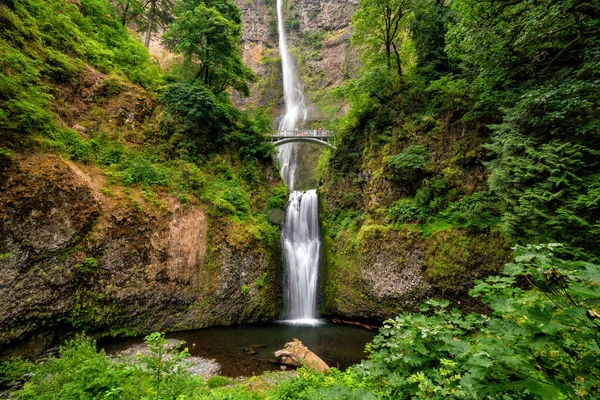 Multnomah Νιαγάρα Στο Φαράγγι Του Ποταμού Κολούμπια Κοντά Στο Πόρτλαντ — Φωτογραφία Αρχείου