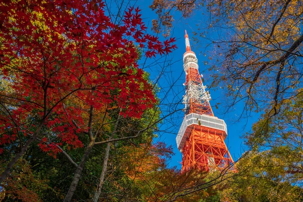 Токийская Башня Голубым Небом Японии — стоковое фото