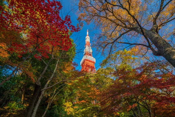 日本有蓝天的东京塔 — 图库照片