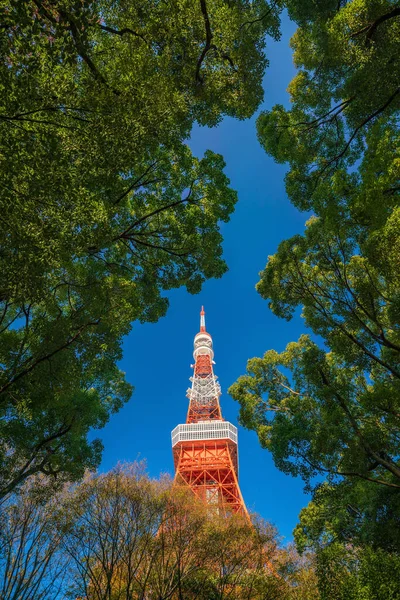 Torre Tokio Con Cielo Azul Japón — Foto de Stock