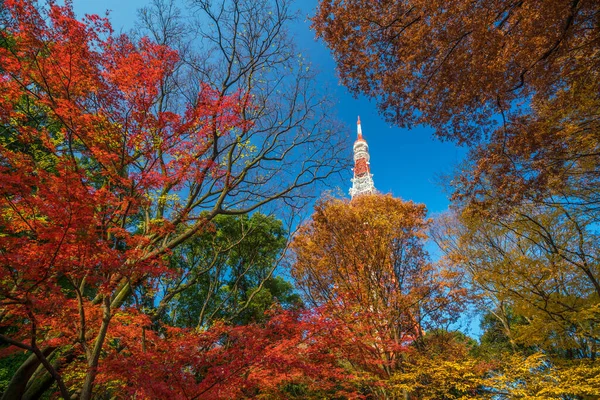 日本有蓝天的东京塔 — 图库照片