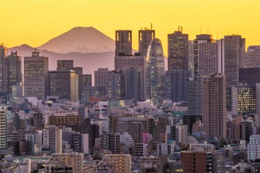 Japonya 'da Tokyo silueti ve Fuji Dağı