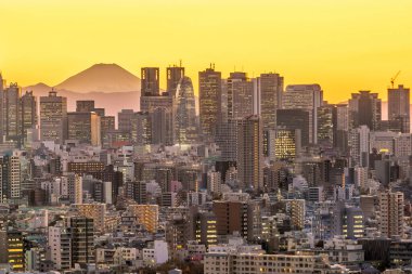 Japonya 'da Tokyo silueti ve Fuji Dağı
