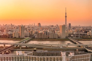 Japonya 'da gün batımında Tokyo şehri ufuk çizgisi