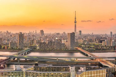 Japonya 'da gün batımında Tokyo şehri ufuk çizgisi