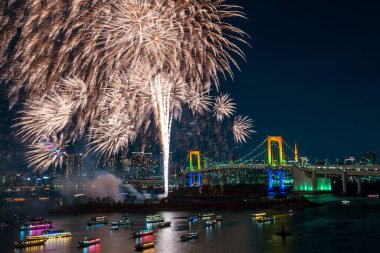 Japonya 'da Tokyo kulesi ve gökkuşağı köprüsü olan havai fişekler ve Tokyo silueti