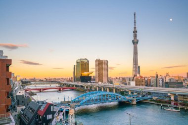 Japonya 'da Sumida Nehri ile Tokyo silueti