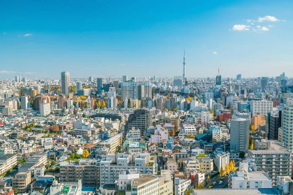 Downtown Tokyo Skyline Japan Met Blauwe Lucht — Stockfoto