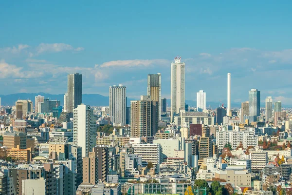 Downtown Tokyo Panorama Japonsku Modrou Oblohou — Stock fotografie
