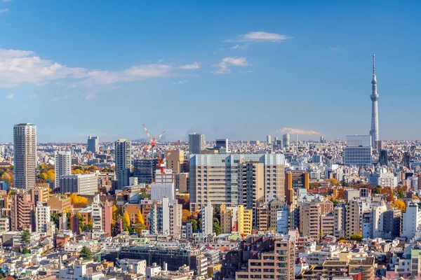 Downtown Tokyo Panorama Japonsku Modrou Oblohou — Stock fotografie