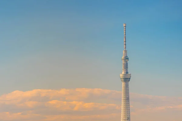 Tokyo Grudzień Tokyo Skytree Grudnia 2016 Tokio Japonia Skytree Jest — Zdjęcie stockowe