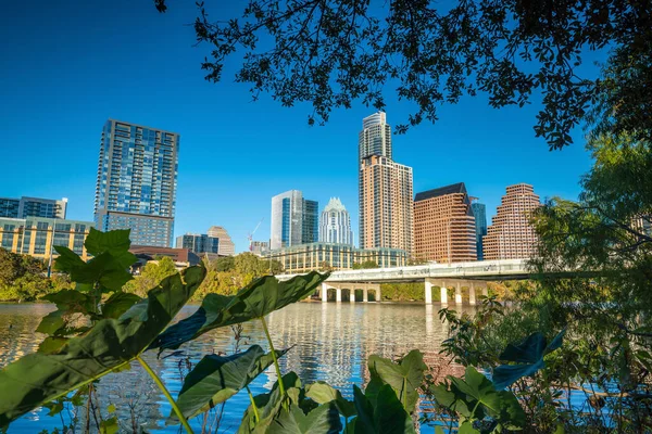 Downtown Skyline Austin Texas Estados Unidos —  Fotos de Stock