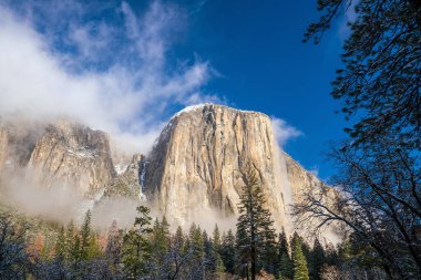 Yosemite Ulusal Parkı, Kaliforniya ABD